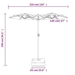 VIDAXL Parasol à Double Tête Anthracite 316x240 Cm -Élégance Jardin 6470a73d4de060.65820279